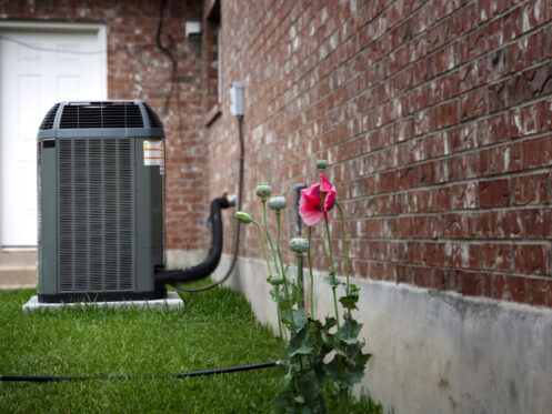 Climate Control Tips For Business Owners in Summer